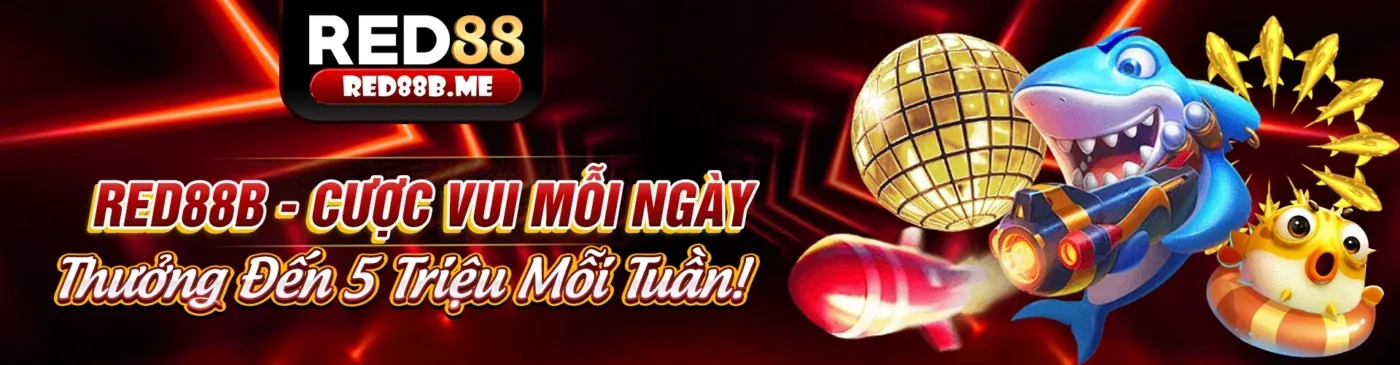 Hình ảnh minh họa cá cược có trách nhiệm trên nền tảng 8kbe
